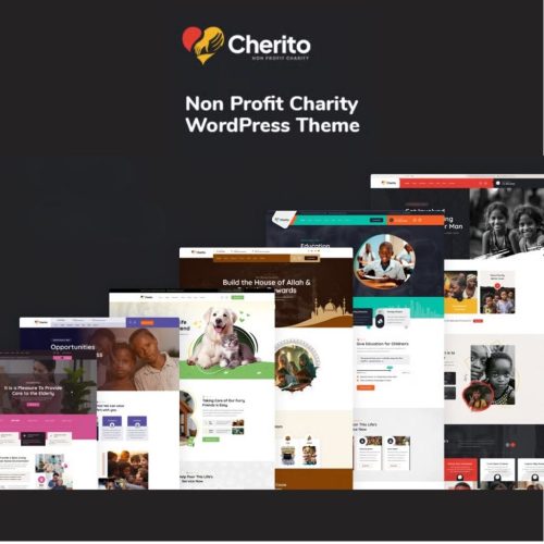Cherito – Non Profit Charity WordPress Theme